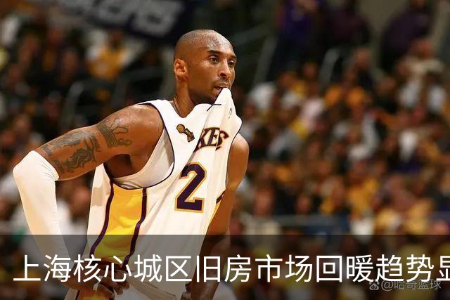 上海核心城区旧房市场回暖趋势显著