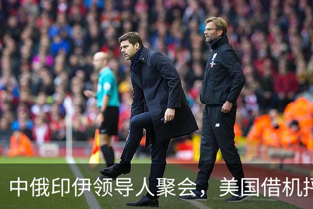 中俄印伊领导人聚会，美国借机抨击中国
