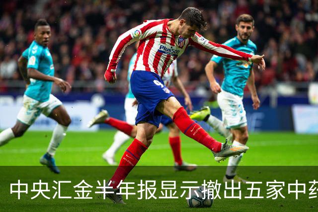 中央汇金半年报显示撤出五家中药企业前十大股东