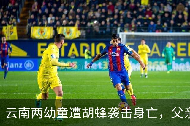 云南两幼童遭胡蜂袭击身亡，父亲请求严惩责任方