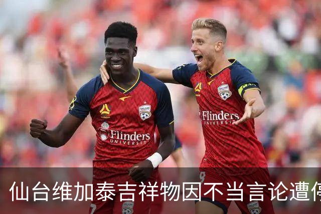 仙台维加泰吉祥物因不当言论遭停工一月