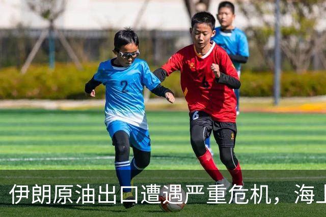 伊朗原油出口遭遇严重危机，海上库存持续消耗