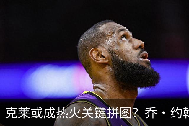 克莱或成热火关键拼图？乔·约翰逊这样看