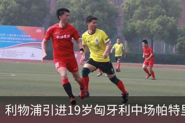利物浦引进19岁匈牙利中场帕特里克·法尔卡斯