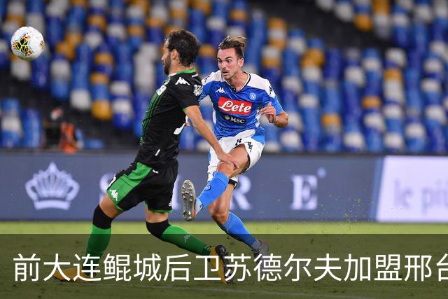 前大连鲲城后卫苏德尔夫加盟邢台沙河万率