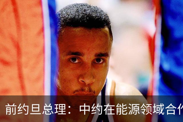 前约旦总理：中约在能源领域合作前景广阔
