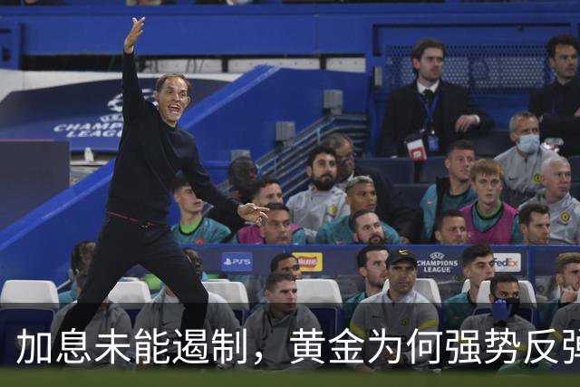 加息未能遏制，黄金为何强势反弹？