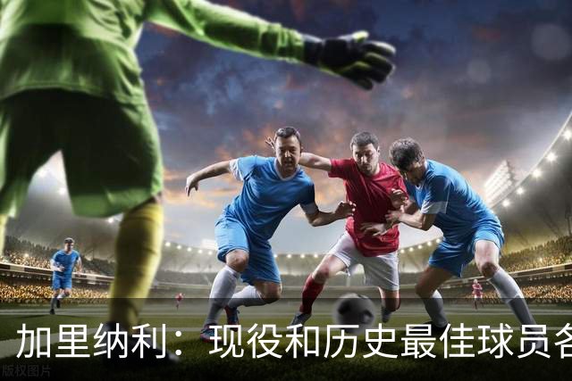 加里纳利：现役和历史最佳球员各有特色