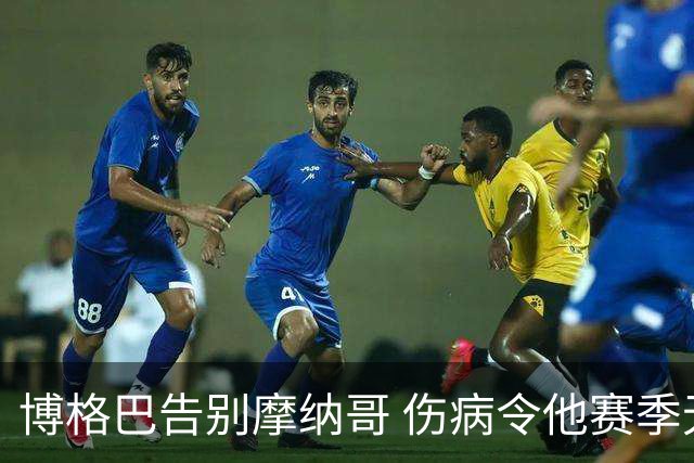 博格巴告别摩纳哥 伤病令他赛季无奈收场