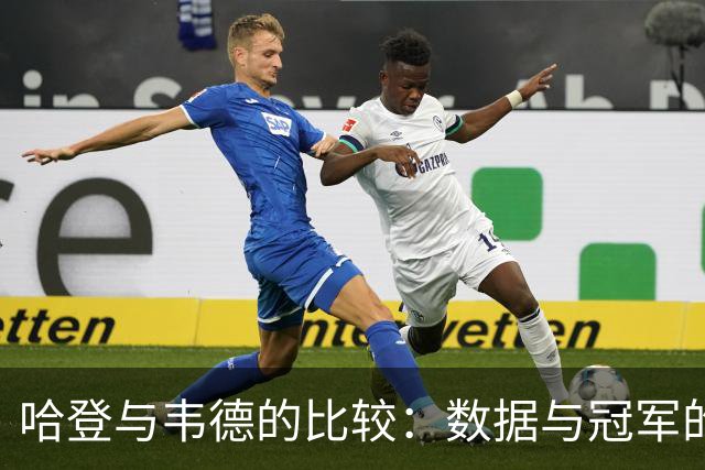 哈登与韦德的比较：数据与冠军的争论