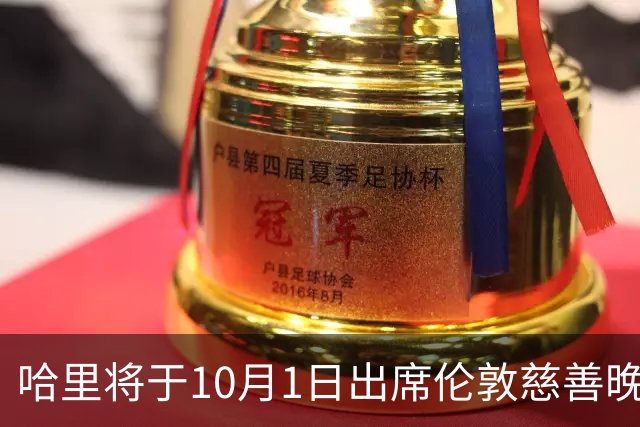 哈里将于10月1日出席伦敦慈善晚宴 恢复与王室关系引发关注