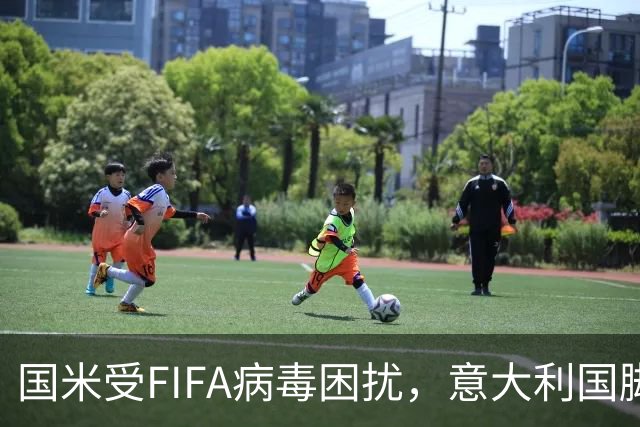 国米受FIFA病毒困扰，意大利国脚表现抢眼！