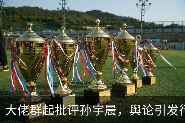 大佬群起批评孙宇晨，舆论引发行业反思
