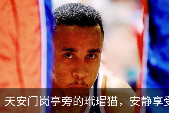 天安门岗亭旁的玳瑁猫，安静享受午后阳光