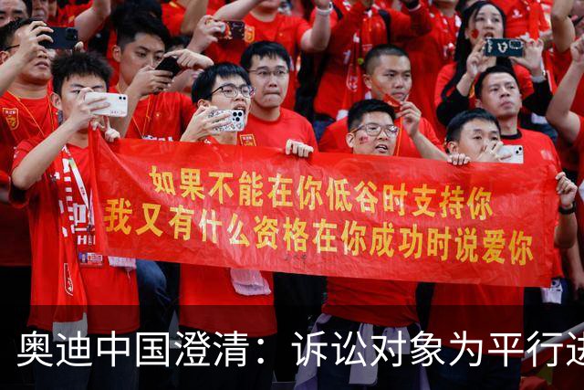 奥迪中国澄清：诉讼对象为平行进口商非总部