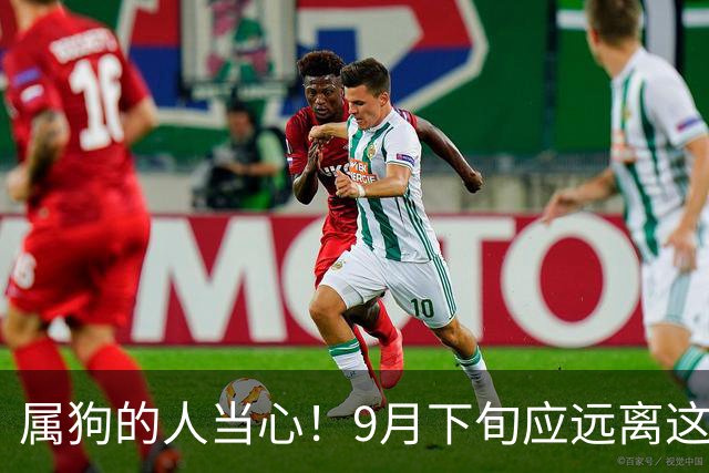 属狗的人当心！9月下旬应远离这三类人以保护好运
