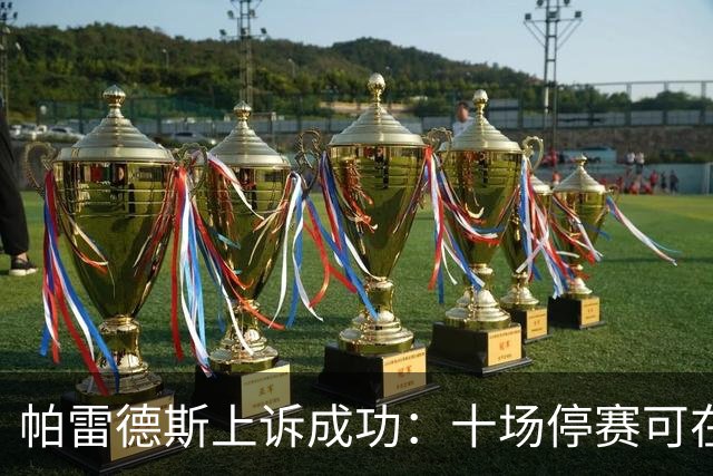 帕雷德斯上诉成功：十场停赛可在友谊赛中履行