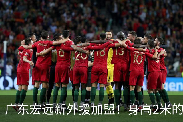 广东宏远新外援加盟！身高2米的克罗地亚锋线球员正式入队