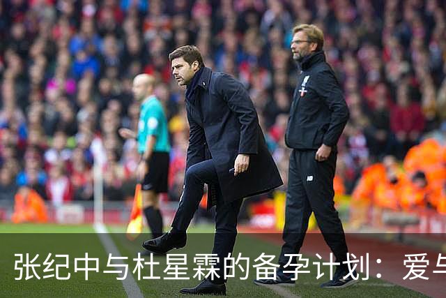 张纪中与杜星霖的备孕计划：爱与家庭的深层考量