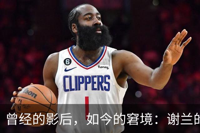 曾经的影后，如今的窘境：谢兰的重返之路