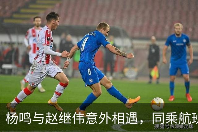 杨鸣与赵继伟意外相遇，同乘航班引发互动