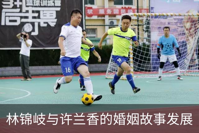 林锦岐与许兰香的婚姻故事发展