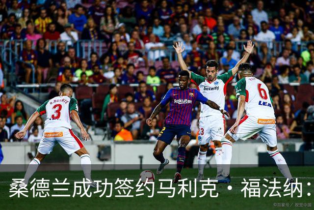 桑德兰成功签约马利克·福法纳：转会截止日的紧张瞬间