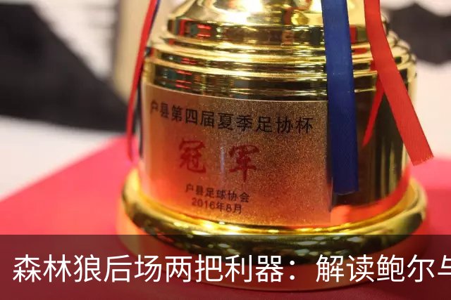 森林狼后场两把利器：解读鲍尔与海兰德的战术价值