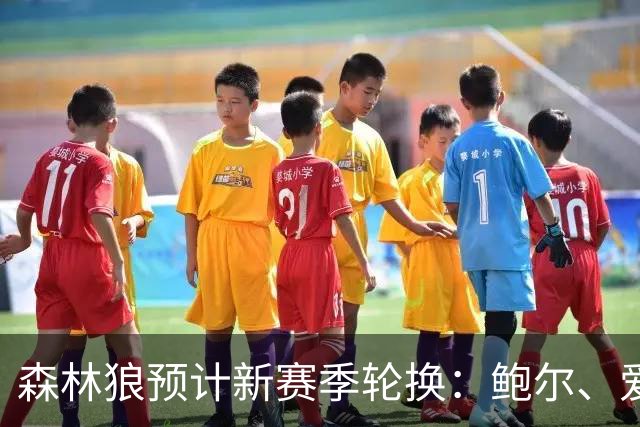 森林狼预计新赛季轮换：鲍尔、爱德华兹、库明加与戈贝尔首发