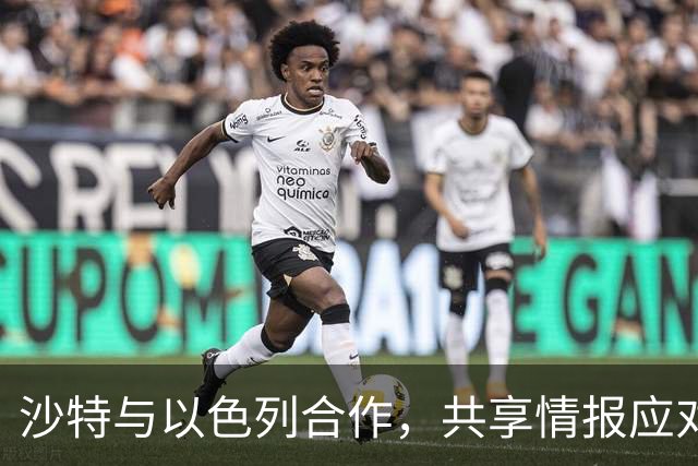 沙特与以色列合作，共享情报应对胡塞威胁