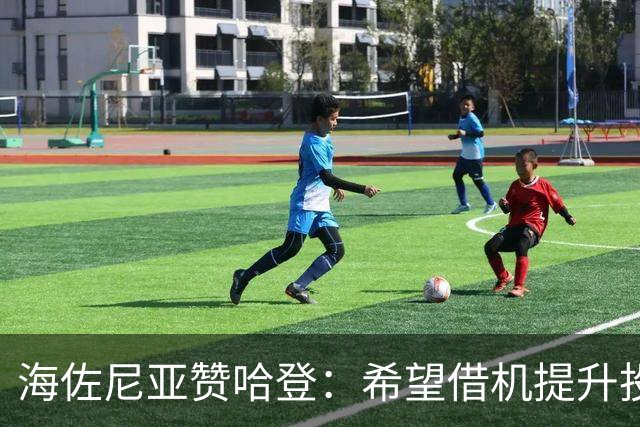 海佐尼亚赞哈登：希望借机提升投篮机会