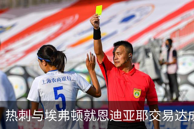 热刺与埃弗顿就恩迪亚耶交易达成一致，并提议理查利森回归
