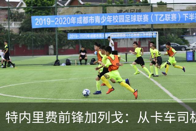 特内里费前锋加列戈：从卡车司机到足球射手的转变