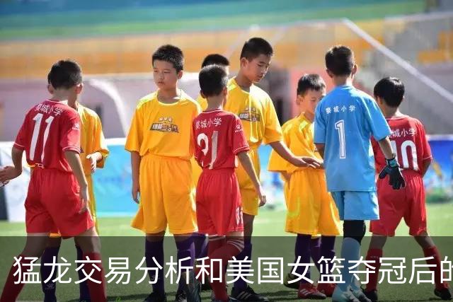 猛龙交易分析和美国女篮夺冠后的新秀阵容探讨