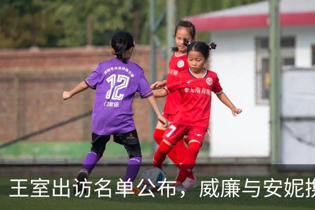王室出访名单公布，威廉与安妮携手出席国葬