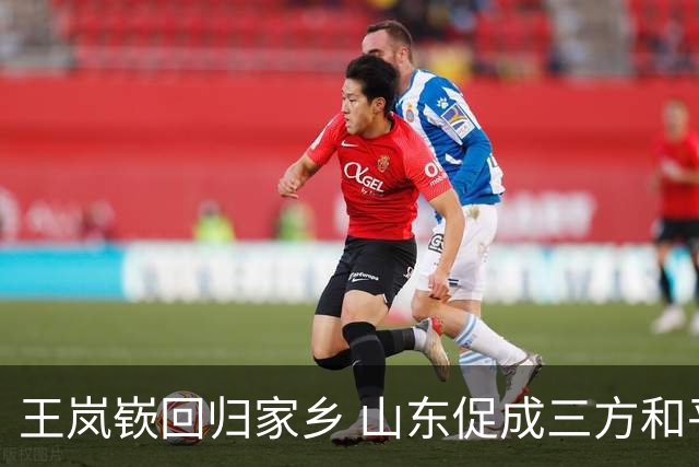 王岚嵚回归家乡 山东促成三方和平解约