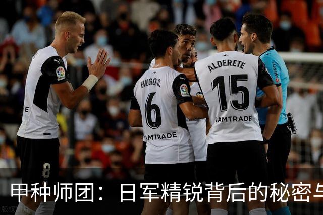 甲种师团：日军精锐背后的秘密与挑战