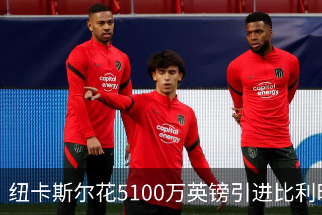 纽卡斯尔花5100万英镑引进比利时国脚帕尔多
