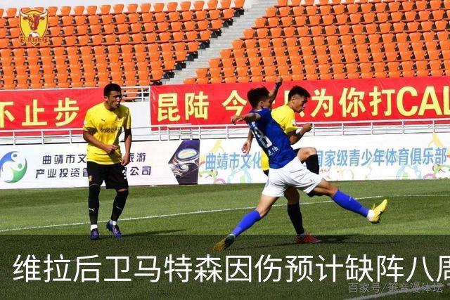 维拉后卫马特森因伤预计缺阵八周