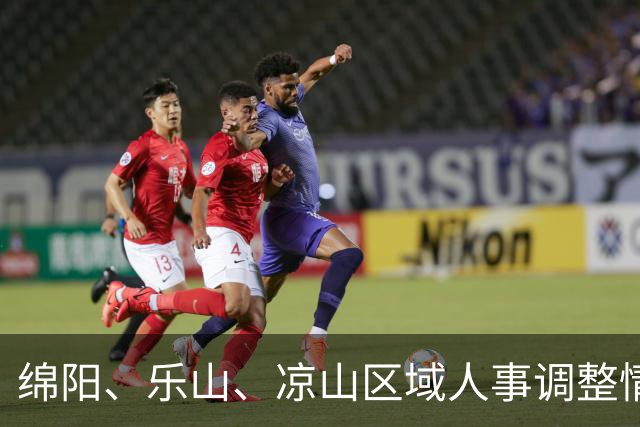 绵阳、乐山、凉山区域人事调整情况