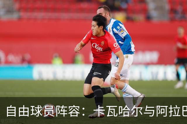 自由球员阵容：卡瓦哈尔与阿拉巴再聚首，桑乔搭档本泽马