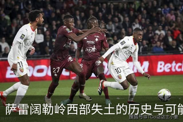 萨雷阔勒岭西部失土的历史与可能性探讨