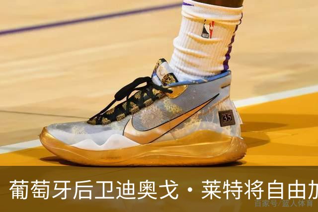 葡萄牙后卫迪奥戈·莱特将自由加盟拉齐奥