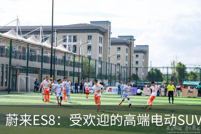蔚来ES8：受欢迎的高端电动SUV为何引来争议？