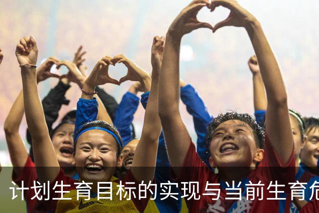 计划生育目标的实现与当前生育危机的反思