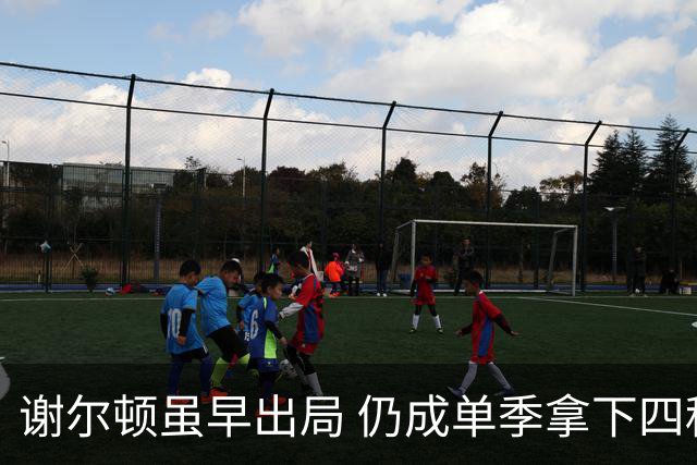 谢尔顿虽早出局 仍成单季拿下四种场地冠军的第8人