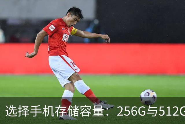 选择手机存储容量：256G与512G哪个更适合你？
