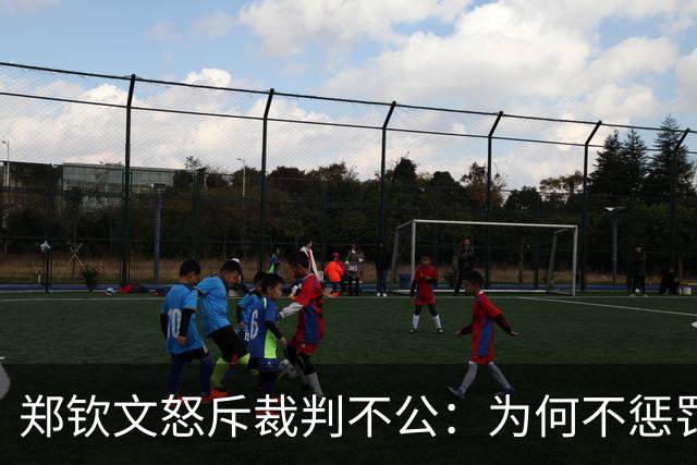 郑钦文怒斥裁判不公：为何不惩罚对手的违规行为