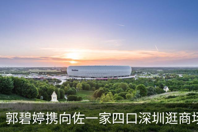 郭碧婷携向佐一家四口深圳逛商场显低调