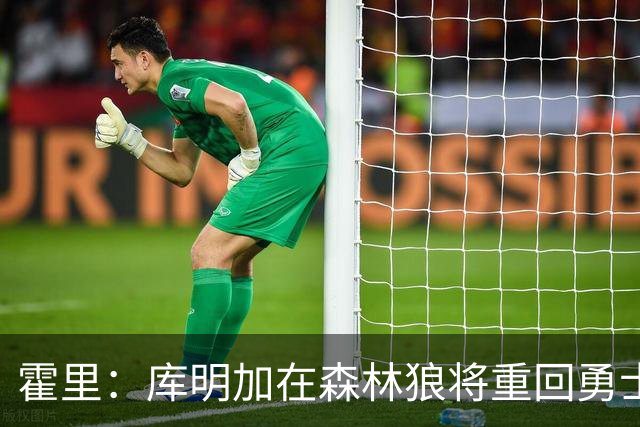 霍里：库明加在森林狼将重回勇士的沮丧境地